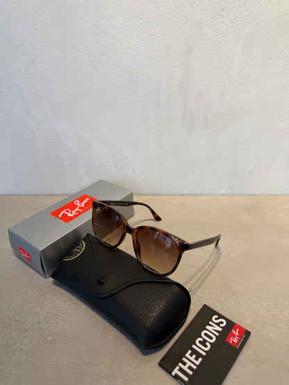 RAYBAN RB4378 Gradient Brown Polished Havana 7162