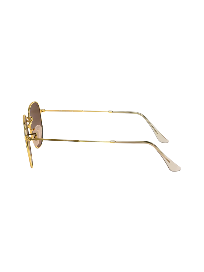 RAYBAN Hexagonal Arista Brown -7017