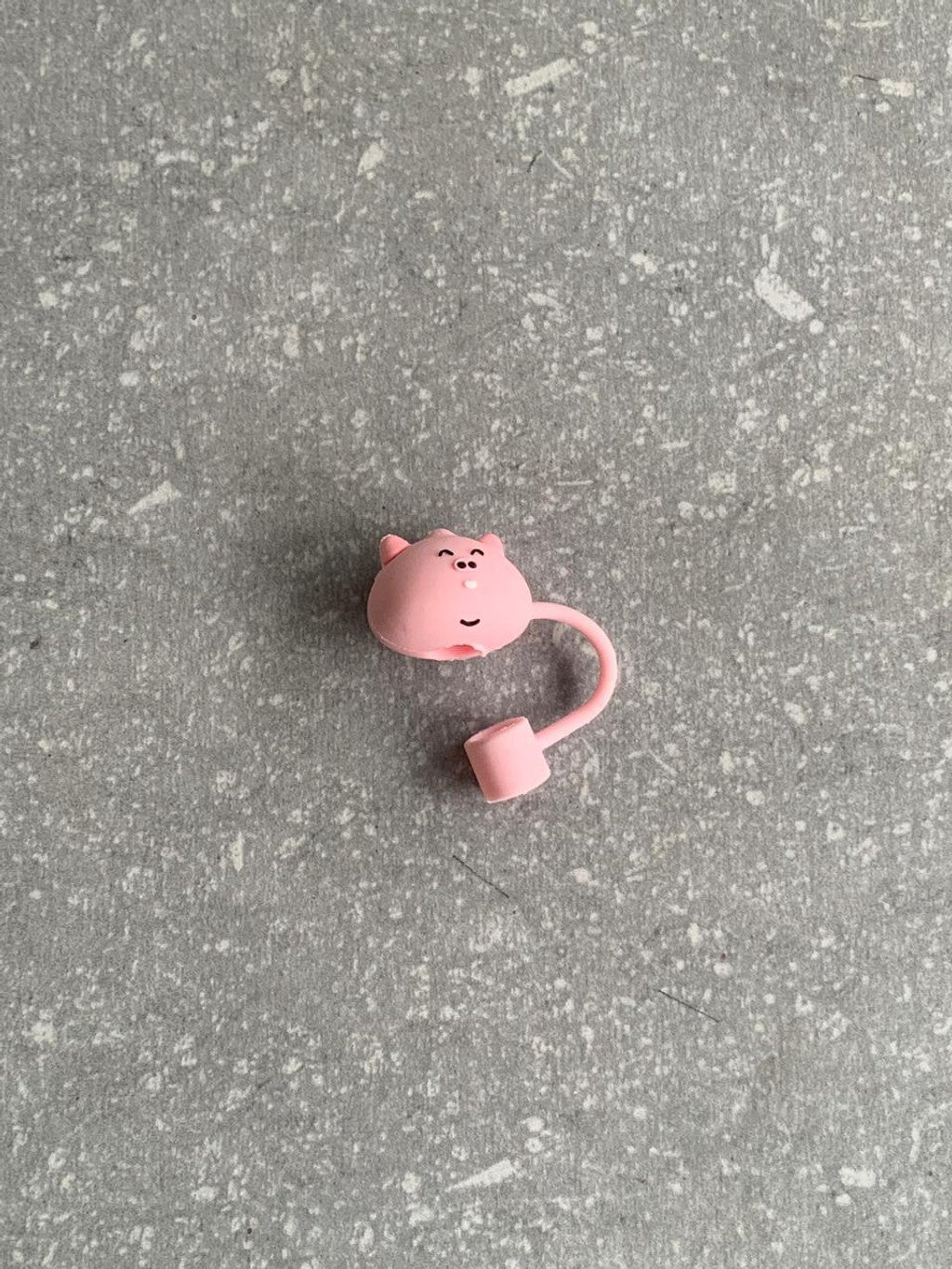 Tapapajilla Chancho-Chino